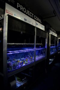 Project Coral Horniman Museum _ Gardens